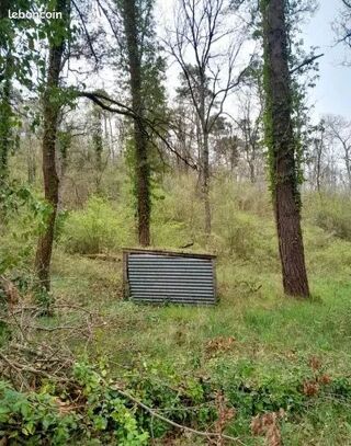  Terrain � vendre 11186 m� Poligny