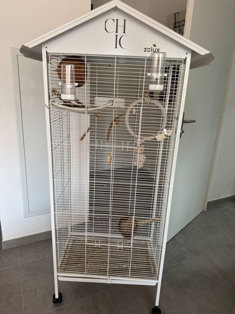 Perruche + cage 80 83600 Fréjus