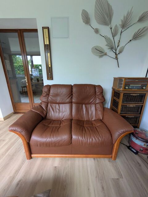 Canap cuir marron 2 places Tressless Ekores- Trs bon tat 350 Pontault-Combault (77)