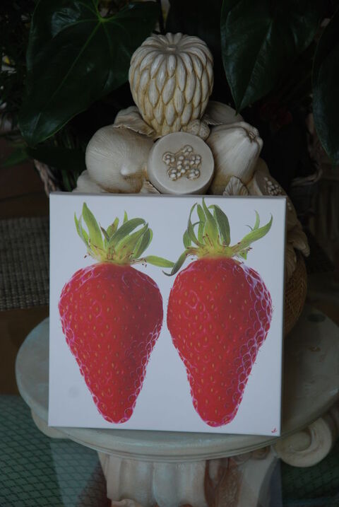 Tableaux de fruits rouges 20 Châtenay-Malabry (92)