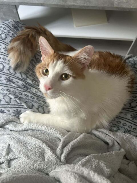 HAGRID 285 91100 Corbeil-essonnes