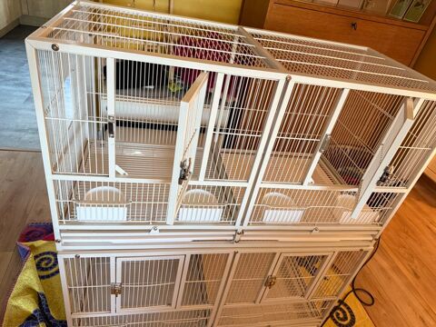 2 superbes cages 06100 Nice