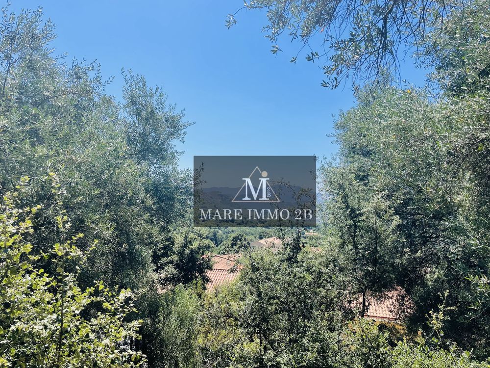 Vente Terrain En Exclusivité Terrain constructible avec Permis Zilia