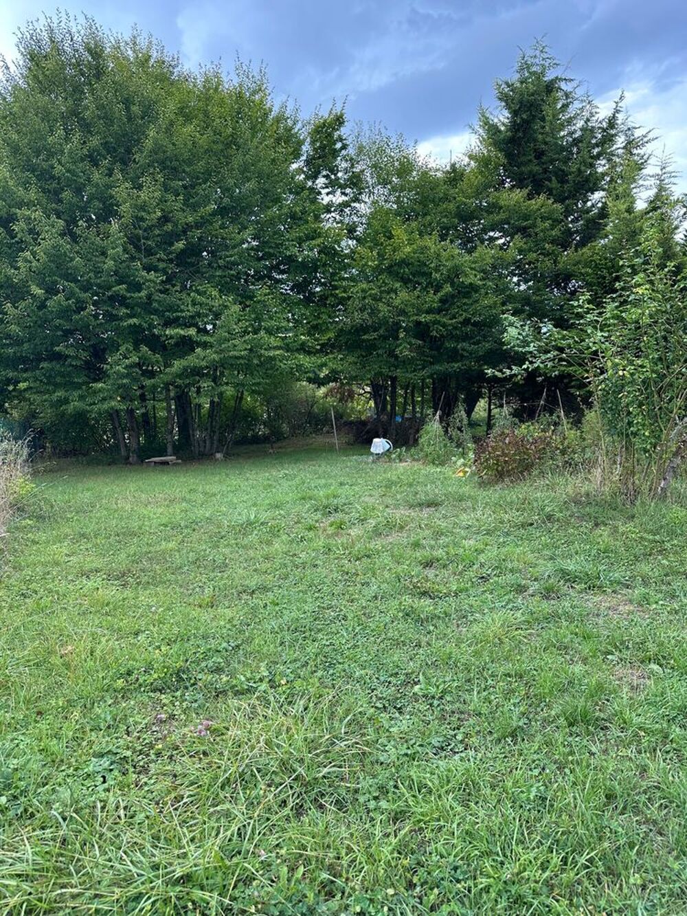 Vente Maison EINVAUX - Maison familiale 229 m² + 160 m² de potentiel Einvaux