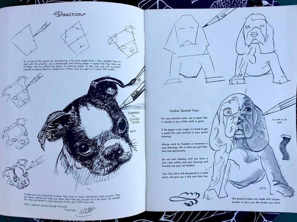 Dessiner les Chiens de W.Foster ; Grand livre NEUF Livres et BD