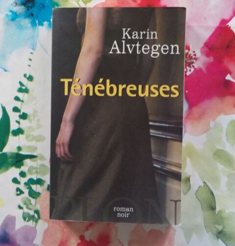 TENEBREUSES de Karin ALVTEGEN Ed. Plon 2 Bubry (56)