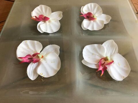 Dessous de plat 12 M�rignac (33)