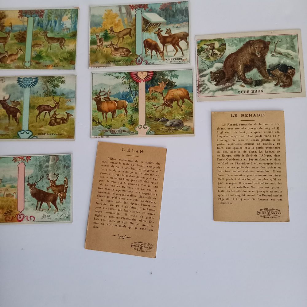 Lot de 8 images Leroux Bonzel sur les animaux de nos campagn Décoration