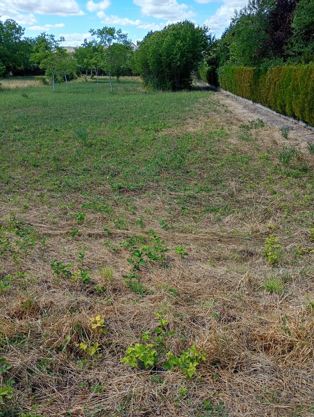 Vente Terrain Terrain constructible 37160 La celle-Saint-Avant. La celle-saint-avant