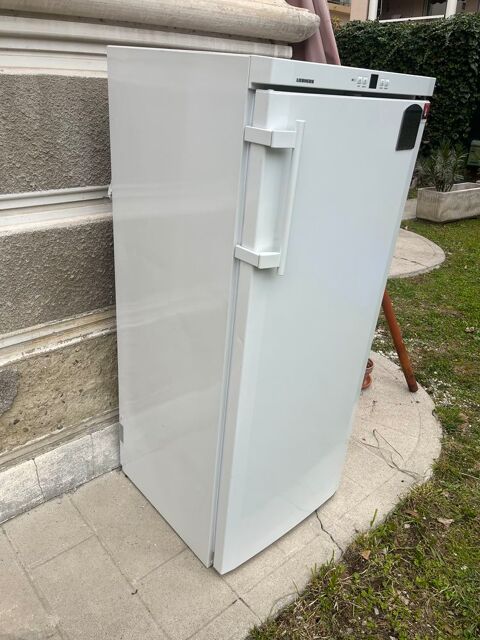 r�frig�rateur Liebherr 350 Nice (06)