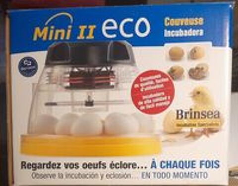   Couveuse brinsea mini eco Bon tat  