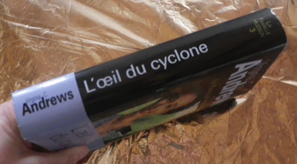 L'OEIL DU CYCLONE T3 LA FAMILLE HUDSON de Virginia C ANDREWS Livres et BD