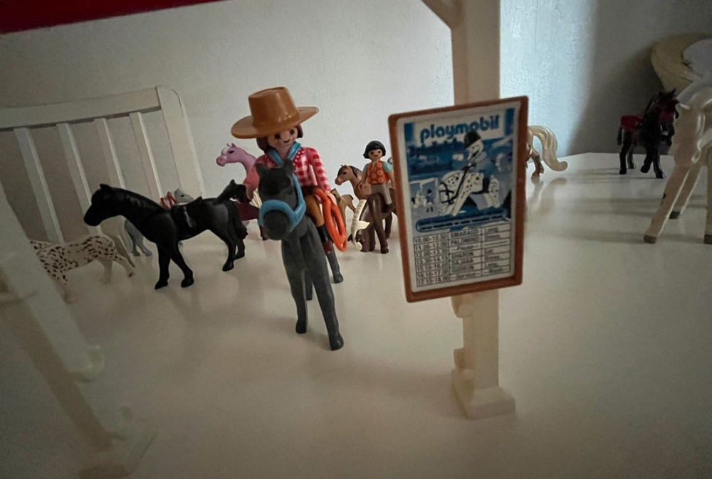 Playmobile Jeux / jouets