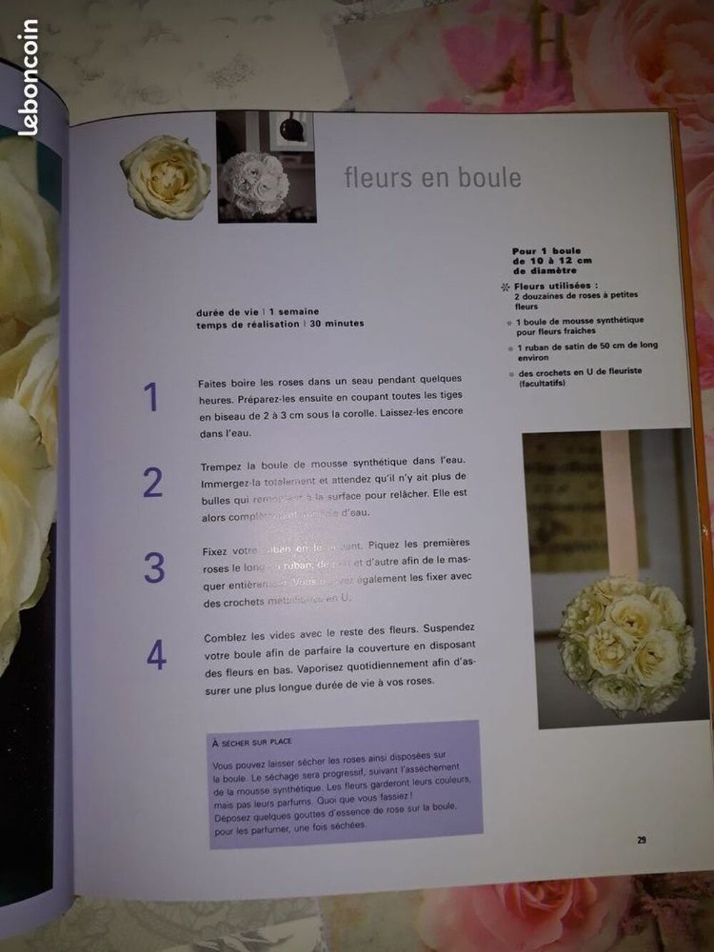 livre des fleurs dans la maison Livres et BD