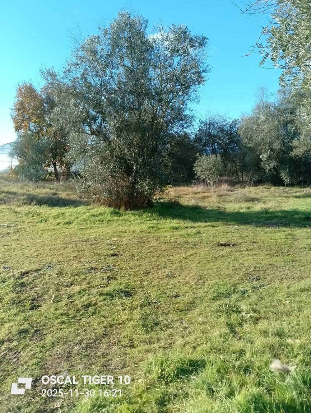Location Maison Cherche petite maison en Toulouse