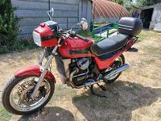 HONDA 1984 occasion 86160 Saint-Maurice-la-Clou&egrave;re