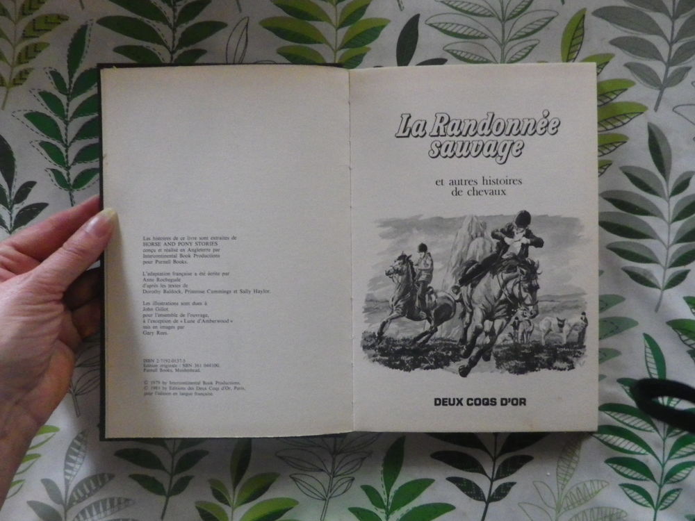 LA RANDONNEE SAUVAGE et autres histoires de chevaux Deux Coq Livres et BD