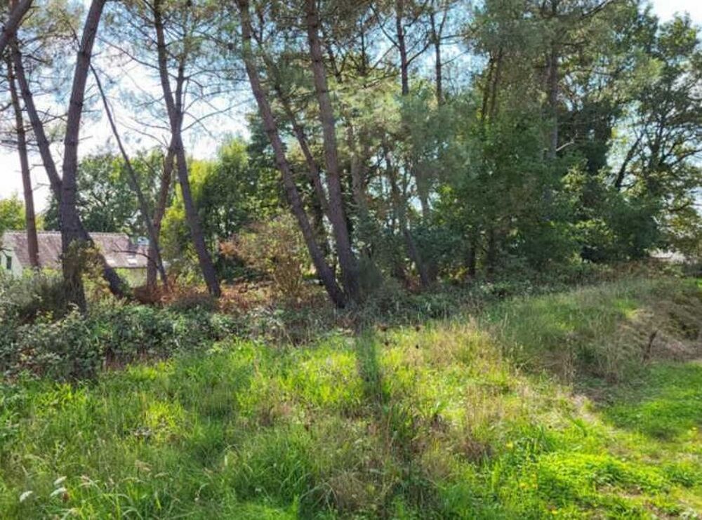 Vente Terrain Terrain à lotir secteur Prahecq bourg 3400m2 / 125800 Euros Prahecq