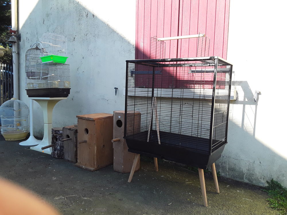   Cage     et accessoires  