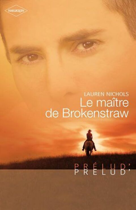 Le matre de Brokenstraw 3 Rennes (35)