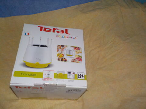 Fondu 8 personnes 45 Eu (76)