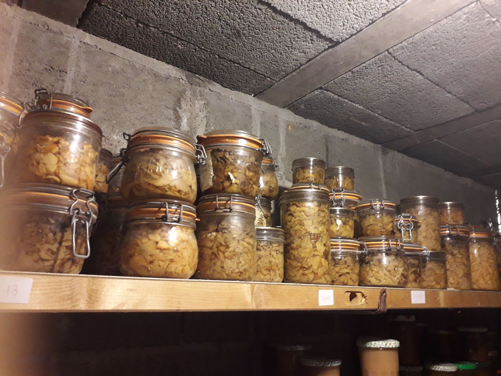 c&egrave;pes en conserves cueillette 2023 Cuisine