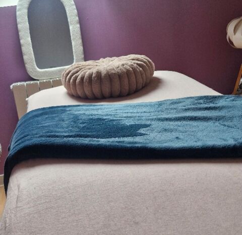 Massages relaxation magn&eacute;tisme 0 22950 Trégueux