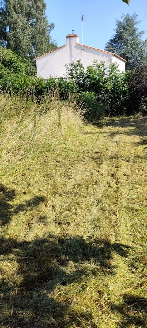 Multiservices, jardinage, bricolage, d&eacute;barras locaux... 0 85110 Chantonnay