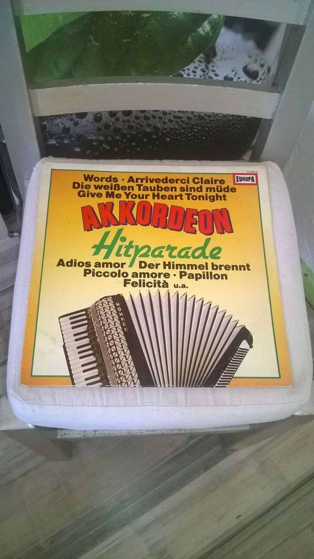 Vinyle Akkordeon hitparade
Udo Reichel
Excellent etat
Env CD et vinyles
