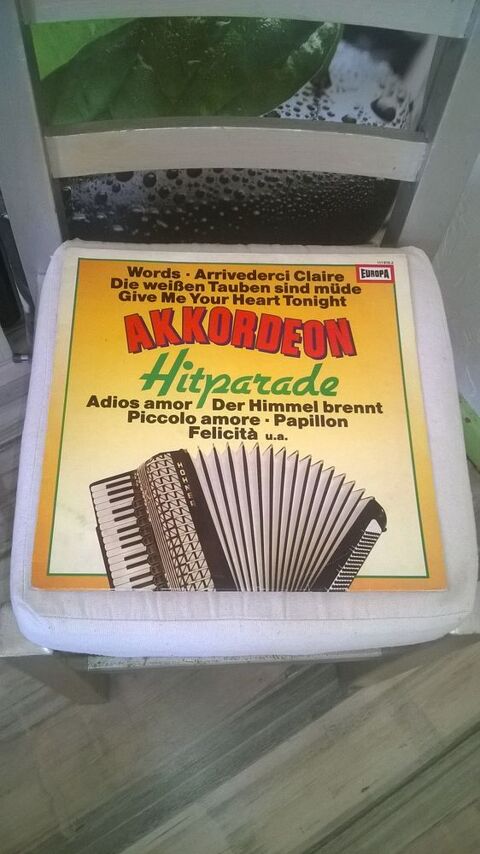 Vinyle Akkordeon hitparade
Udo Reichel
Excellent etat
Env 5 Talange (57)
