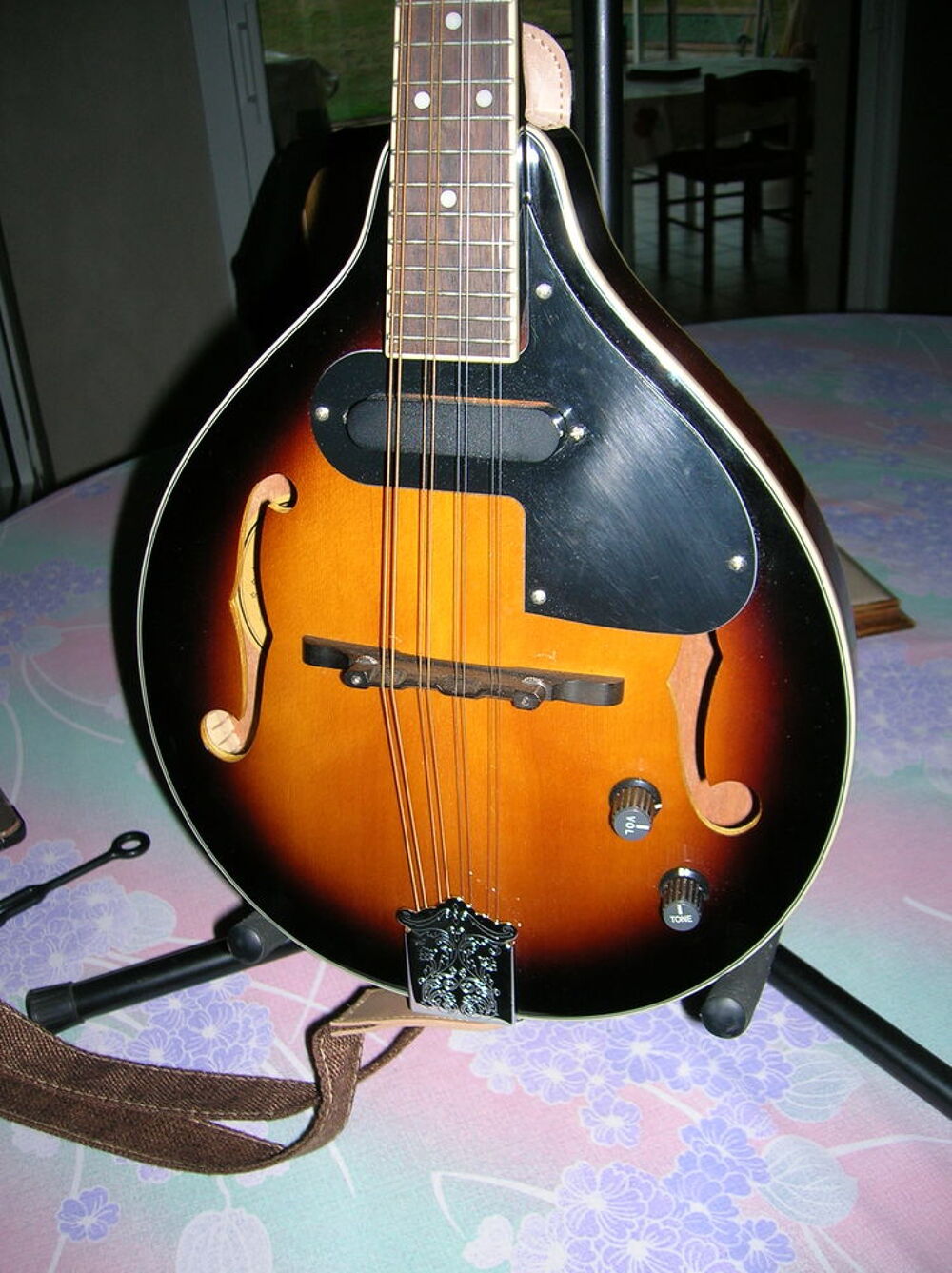 mandoline bluegrass Fender Instruments de musique