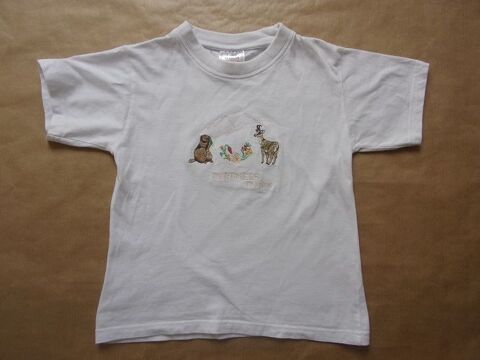 Tee shirt en taille 6 ans 1 Montaigu-la-Brisette (50)