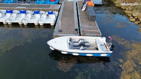 Bateaux à moteur Bateau fluvial 1975 occasion Évreux 27000