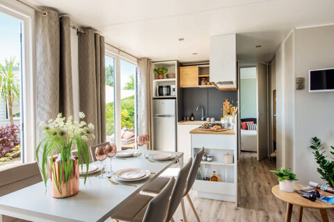 Mobil-Home Mobil-Home 2020 occasion Ormoy-la-Rivi&egrave;re 91150