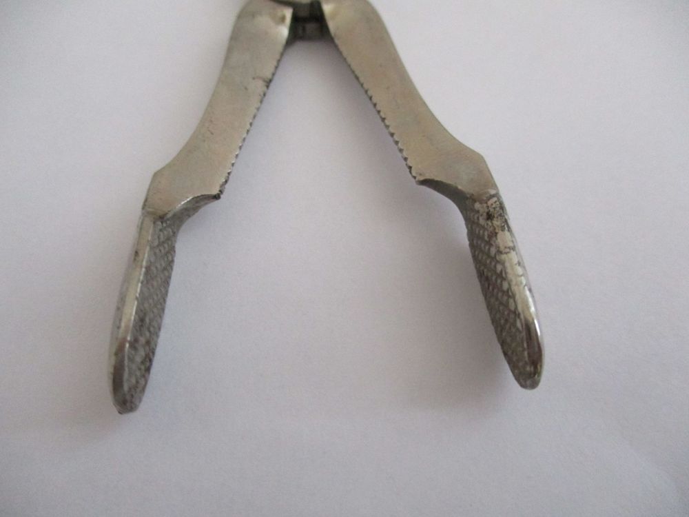 ANCIEN CISEAU PINCE A SUCRE 