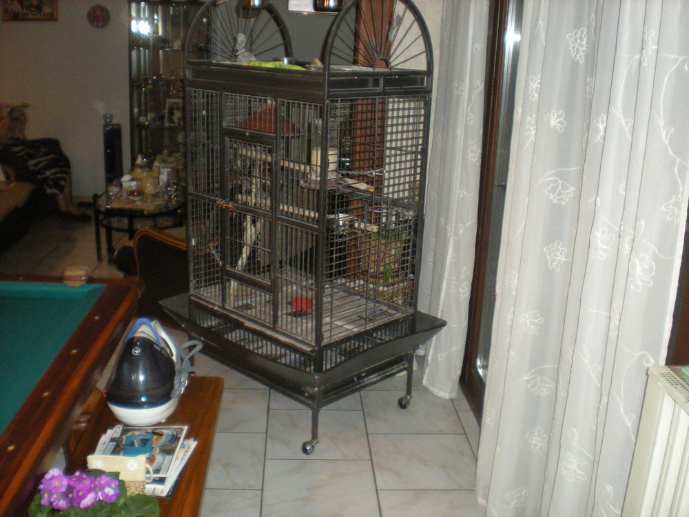 cage oiseau "CAESAR" pour PERROQUETprix neuf: 225 euros Meubles