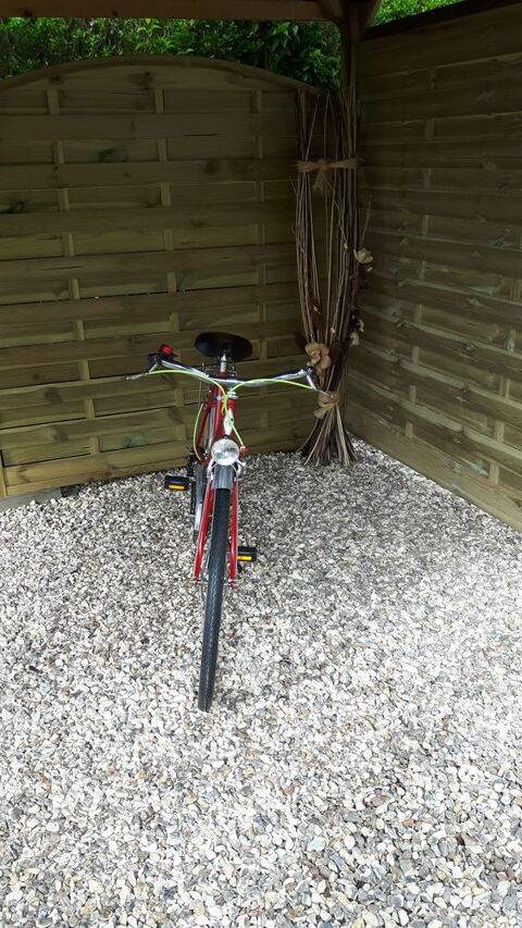 vélo de femme vintage 100 Conches-en-Ouche (27)