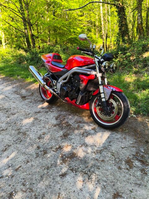 Moto TRIUMPH 2004 occasion Melrand 56310