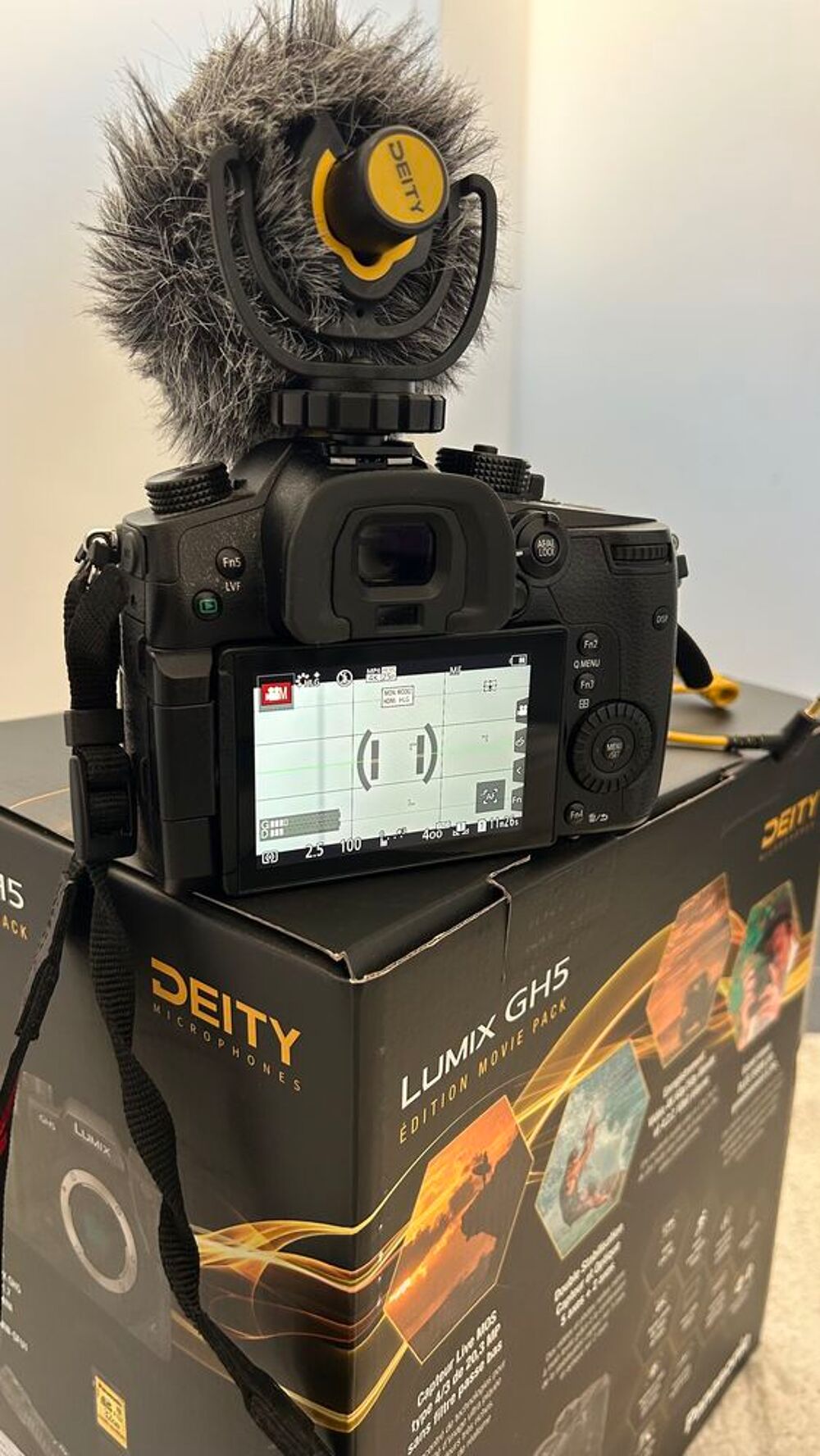 Camera LUMIX GH5 Photos/Video/TV