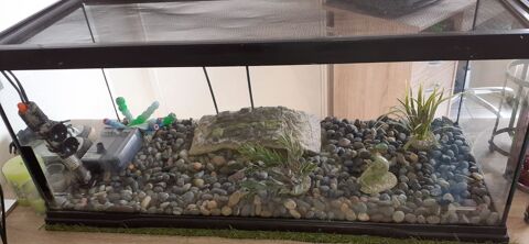 Lot de 5 articles pour  tortues  ou poissons 150 Viry-Châtillon (91)