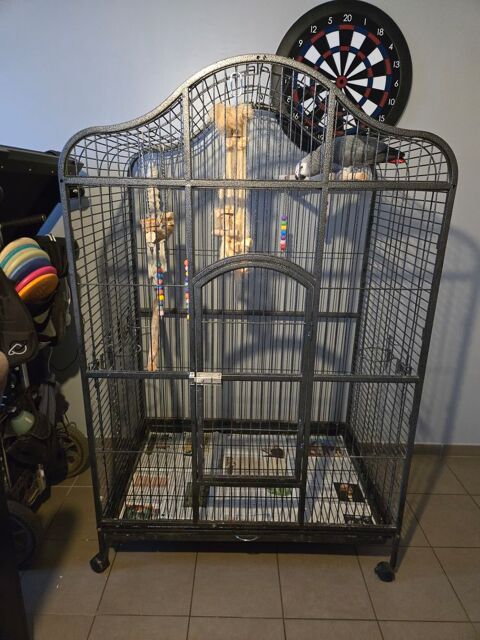 Cage &agrave; perroquet 1200 62160 Bully-les-mines