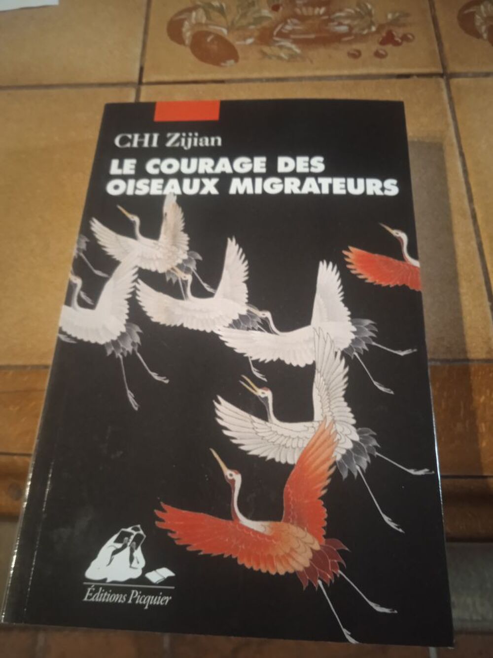 Le courage des oiseaux migrateurs Livres et BD