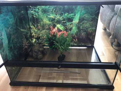 Terrarium ExoTerra 60x45x45 65 75011 Paris