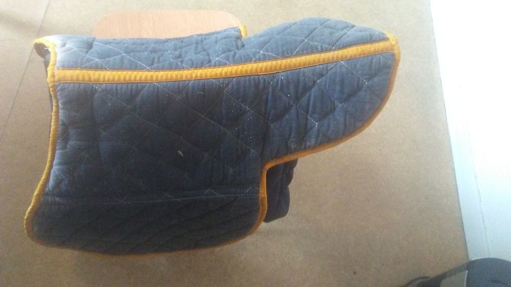 Selle de cheval Sports