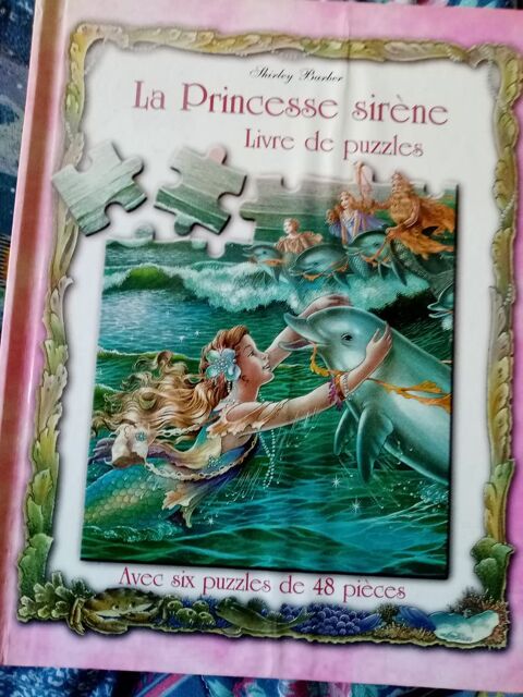 Livre puzzle 3 Gannat (03)