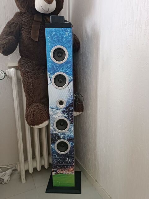 Tl avec barres de son 100 Poitiers (86)