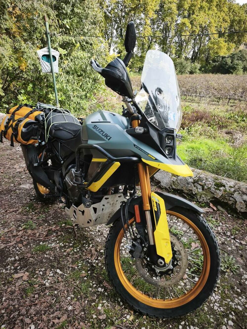 SUZUKI 2024 occasion 30260 Vic-le-Fesq