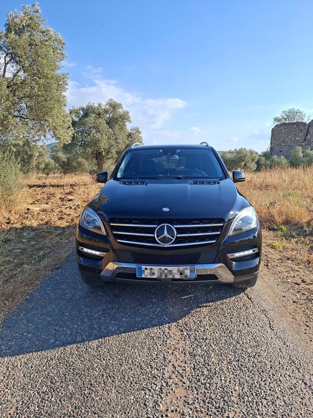 Classe M ML 250 BlueTEC 4MATIC Edition 1 A 2012 occasion 93600 Aulnay-sous-Bois