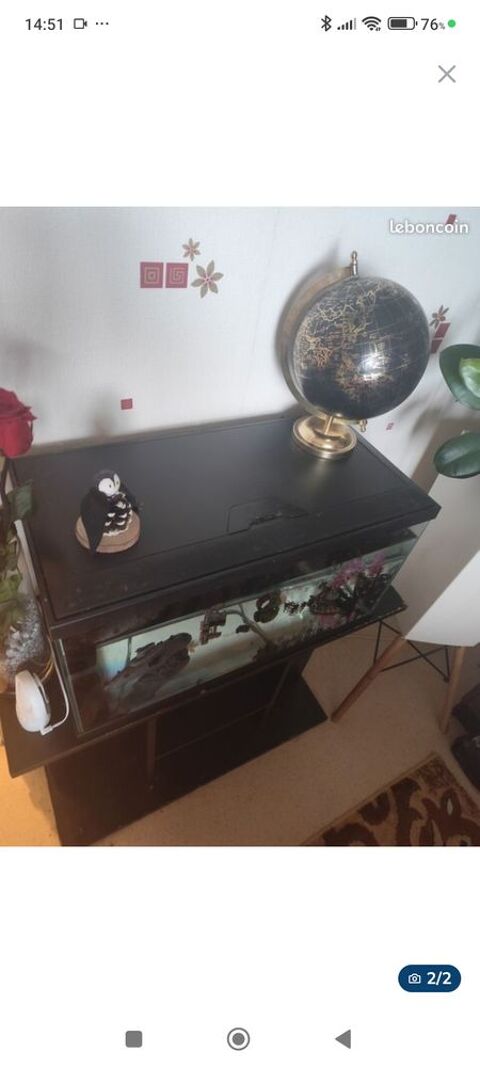 aquarium 60l et meuble noir  100 Saint-Barth�lemy-d'Anjou (49)