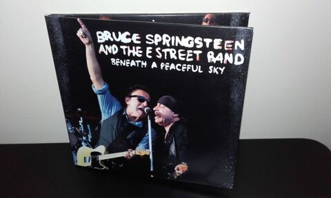 Bruce Springsteen : Beneath a peaceful sky - Live Oslo 2012  35 Angers (49)